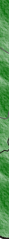 sQ